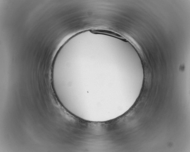 X0000091520956200709141412