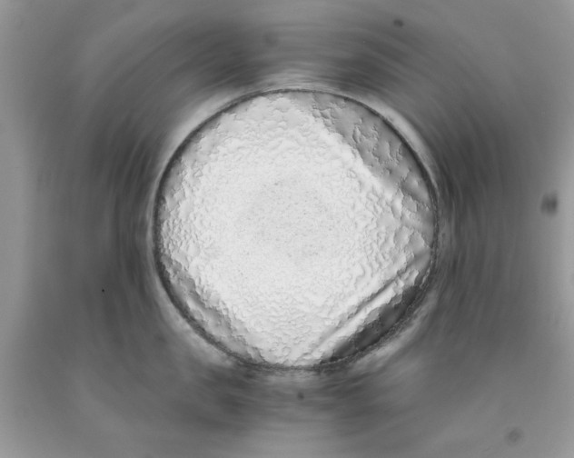 X0000091520957200709141412