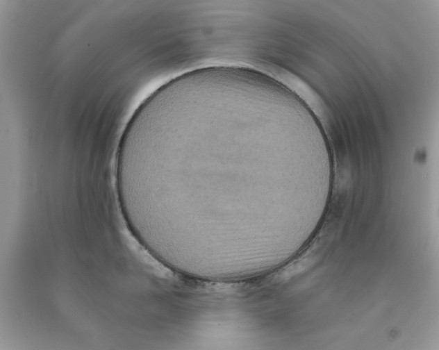 X0000091520958200709141412