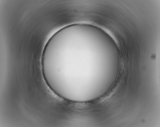 X0000091520959200709141412