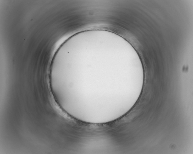 X0000091520960200709141412