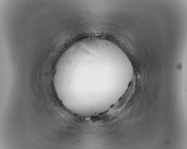 X0000091520961200709141412