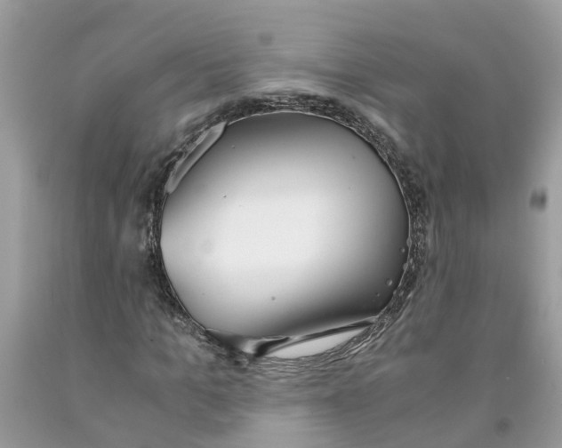 X0000091520965200709141412