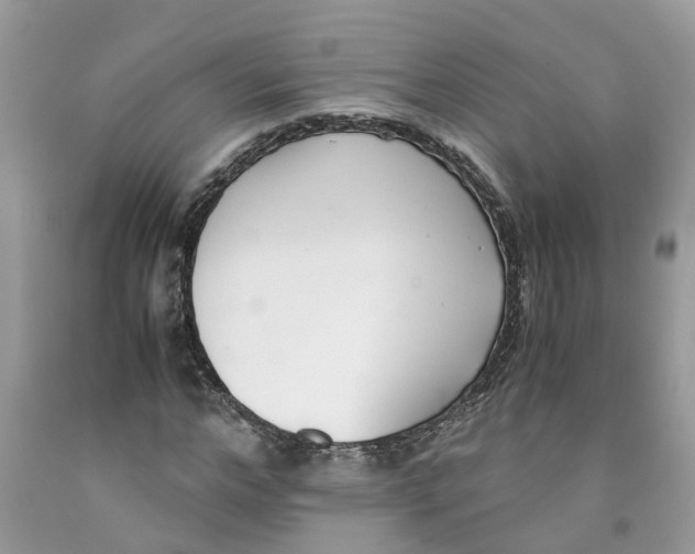 X0000091520968200709141412