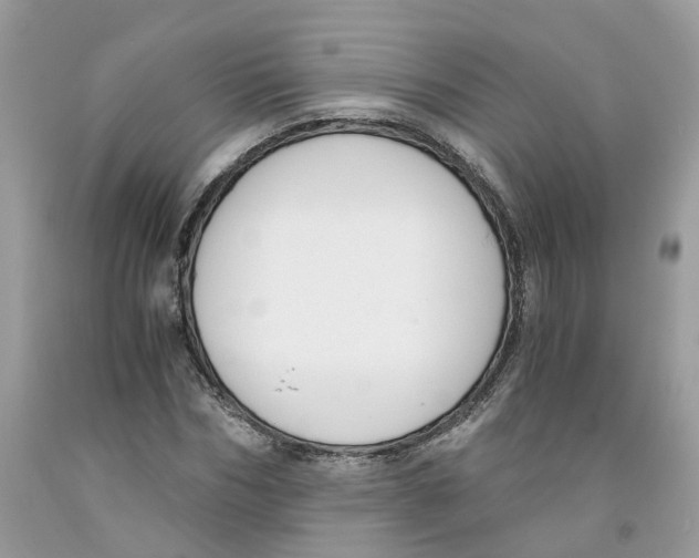 X0000091520970200709141412