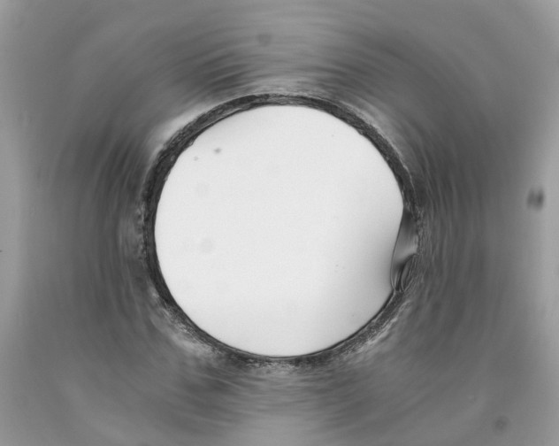 X0000091520971200709141411