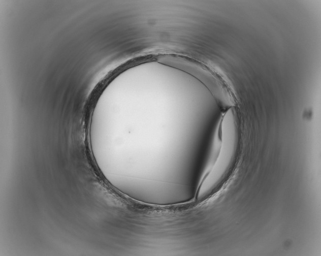 X0000091520973200709141411