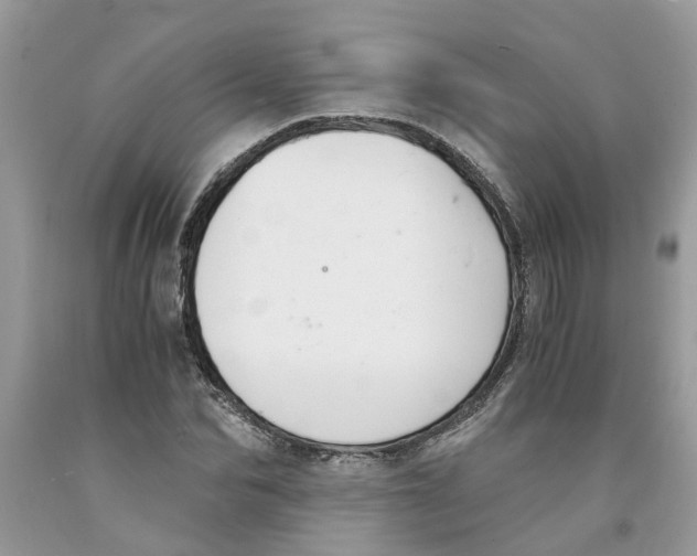 X0000091520974200709141411