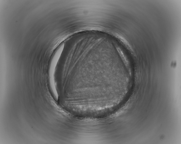 X0000091520977200709141411