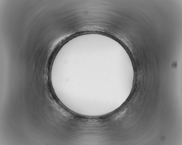 X0000091520979200709141411