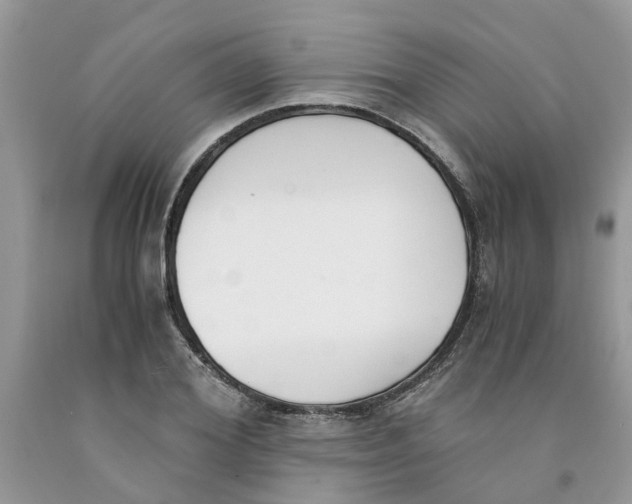 X0000091520980200709141411