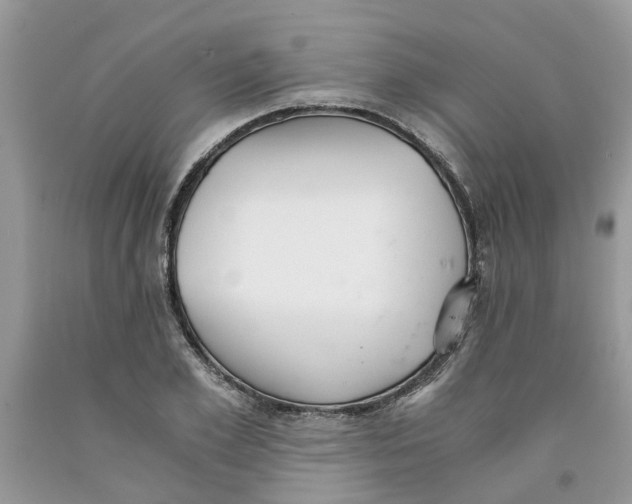 X0000091520981200709141411