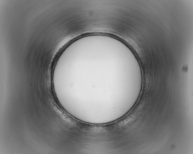 X0000091520982200709141411