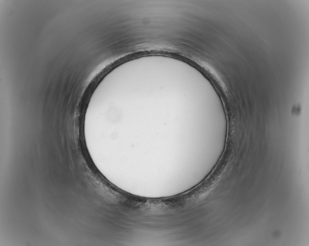 X0000091520983200709141411