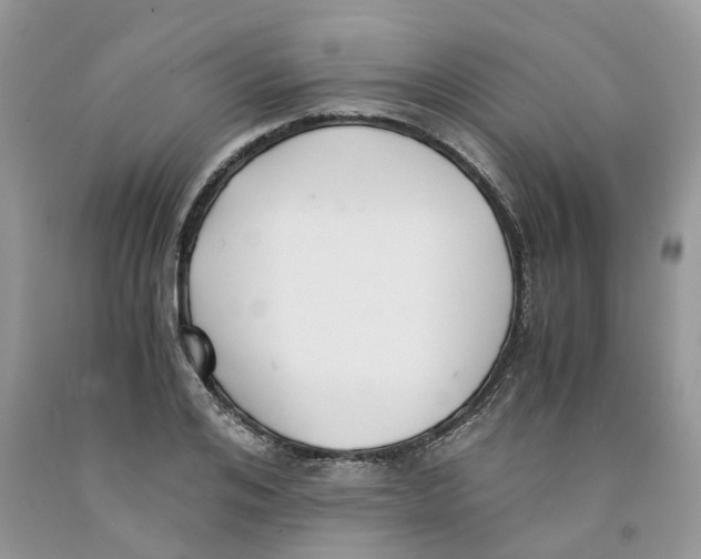 X0000091520984200709141411