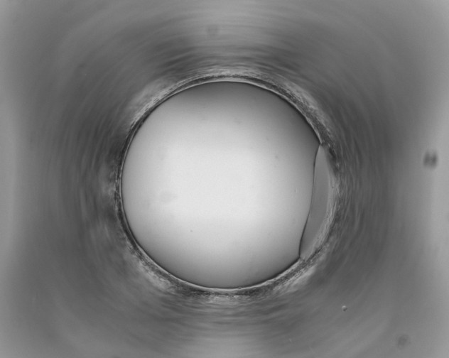 X0000091520985200709141411