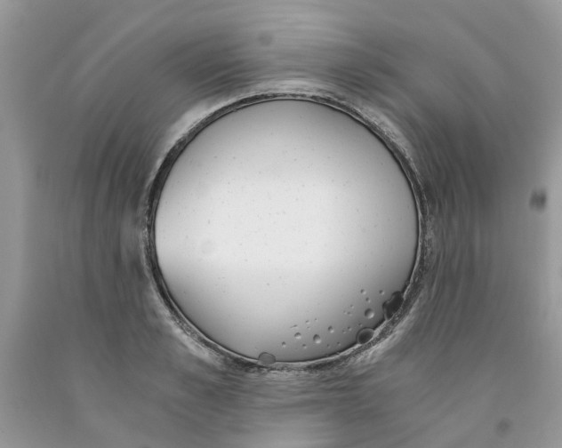 X0000091520989200709141411