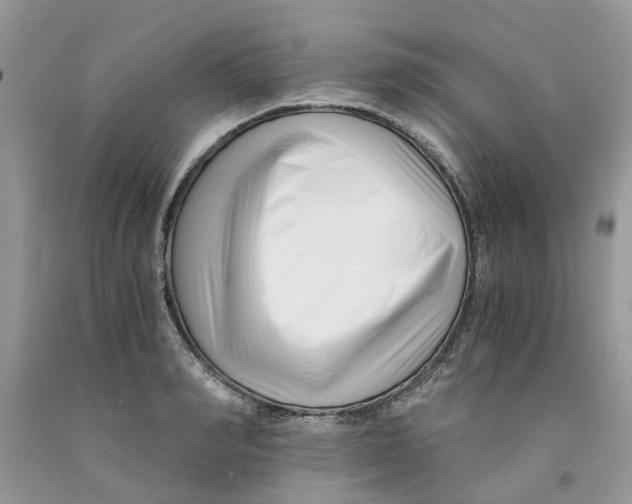 X0000091520990200709141411