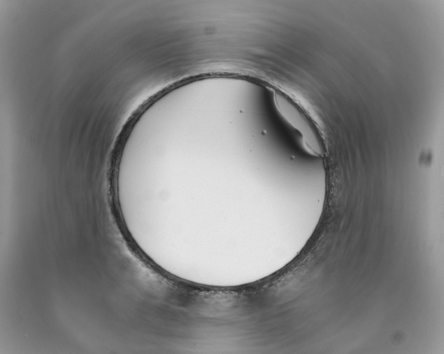 X0000091520991200709141411