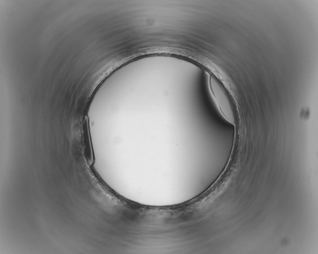 X0000091520993200709141411