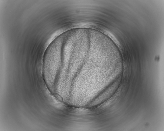 X0000091520994200709141411