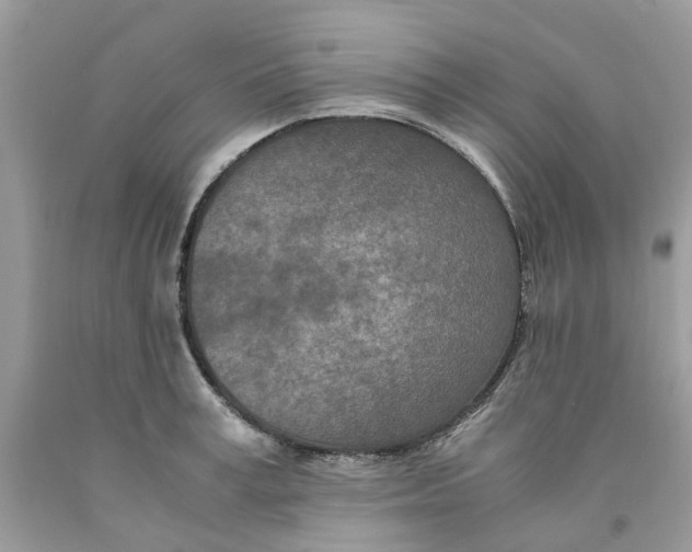 X0000091520995200709141411