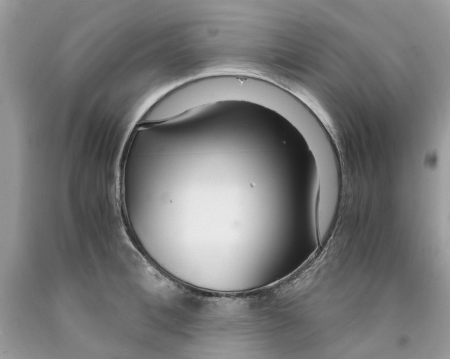 X0000091520996200709141411