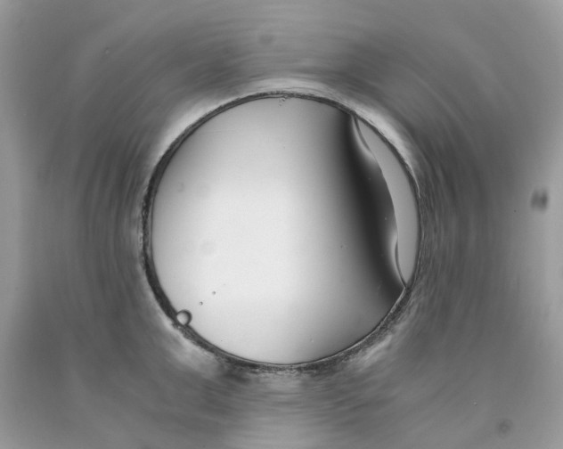 X0000091520999200709141411