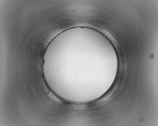 X0000091521001200709141411