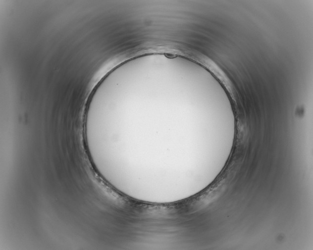 X0000091521002200709141411