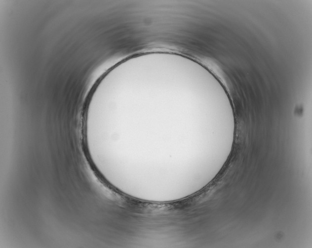 X0000091521003200709141411