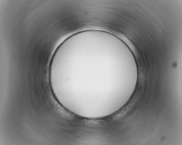 X0000091521004200709141411