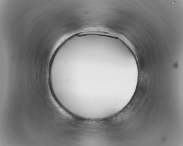 X0000091521005200709141411