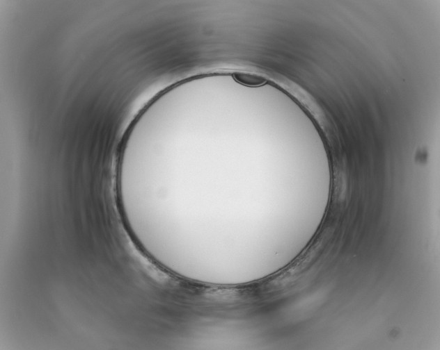 X0000091521006200709141411