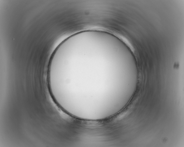 X0000091521007200709141411