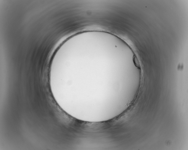 X0000091521008200709141411