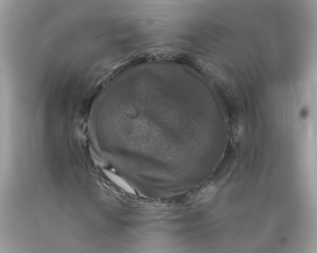 X0000091521010200709141410