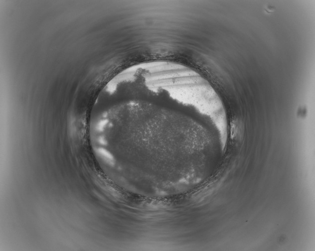 X0000091521011200709141410