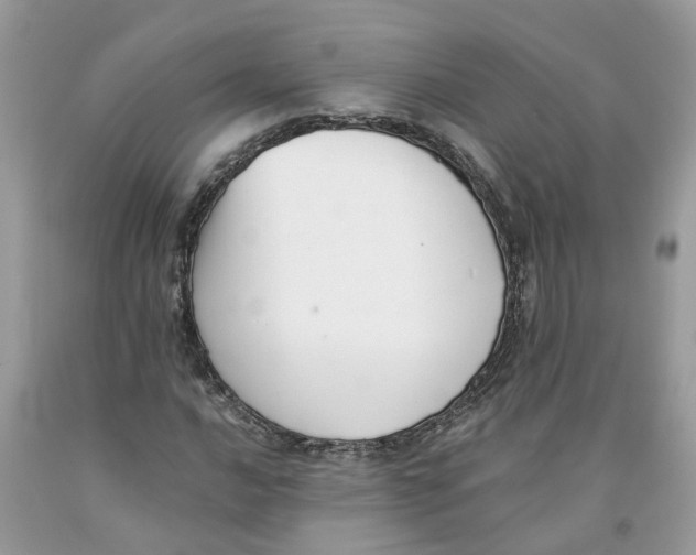 X0000091521016200709141411