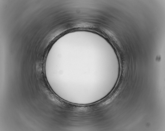 X0000091521017200709141411