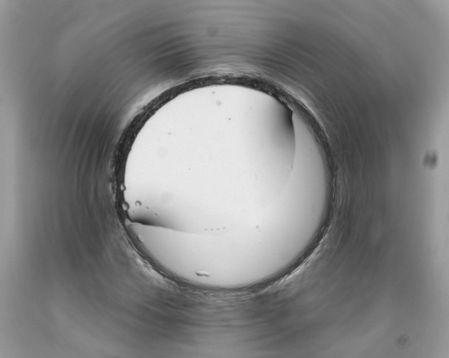 X0000091521018200709141411