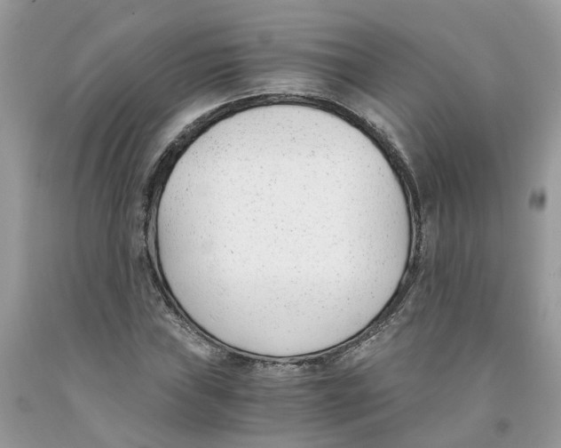 X0000091521019200709141411