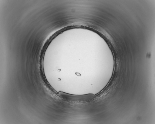 X0000091521020200709141411