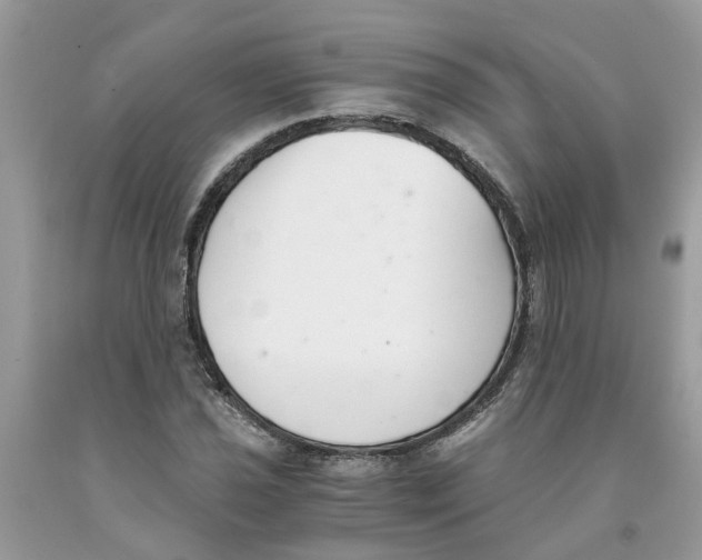 X0000091521021200709141411