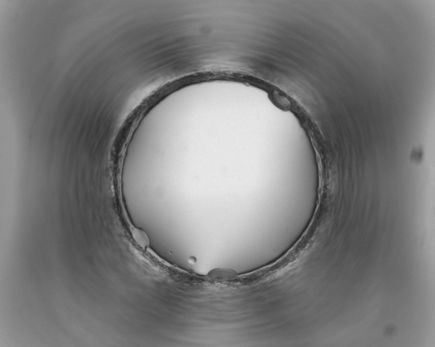 X0000091521022200709141411