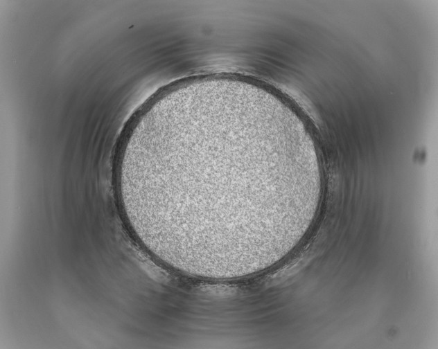 X0000091521023200709141411