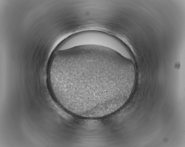 X0000091521024200709141411