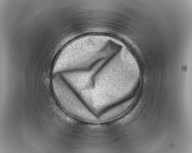 X0000091521025200709141411