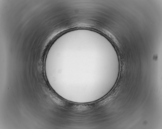 X0000091521027200709141411