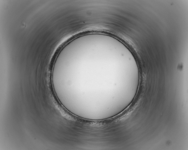 X0000091521029200709141411